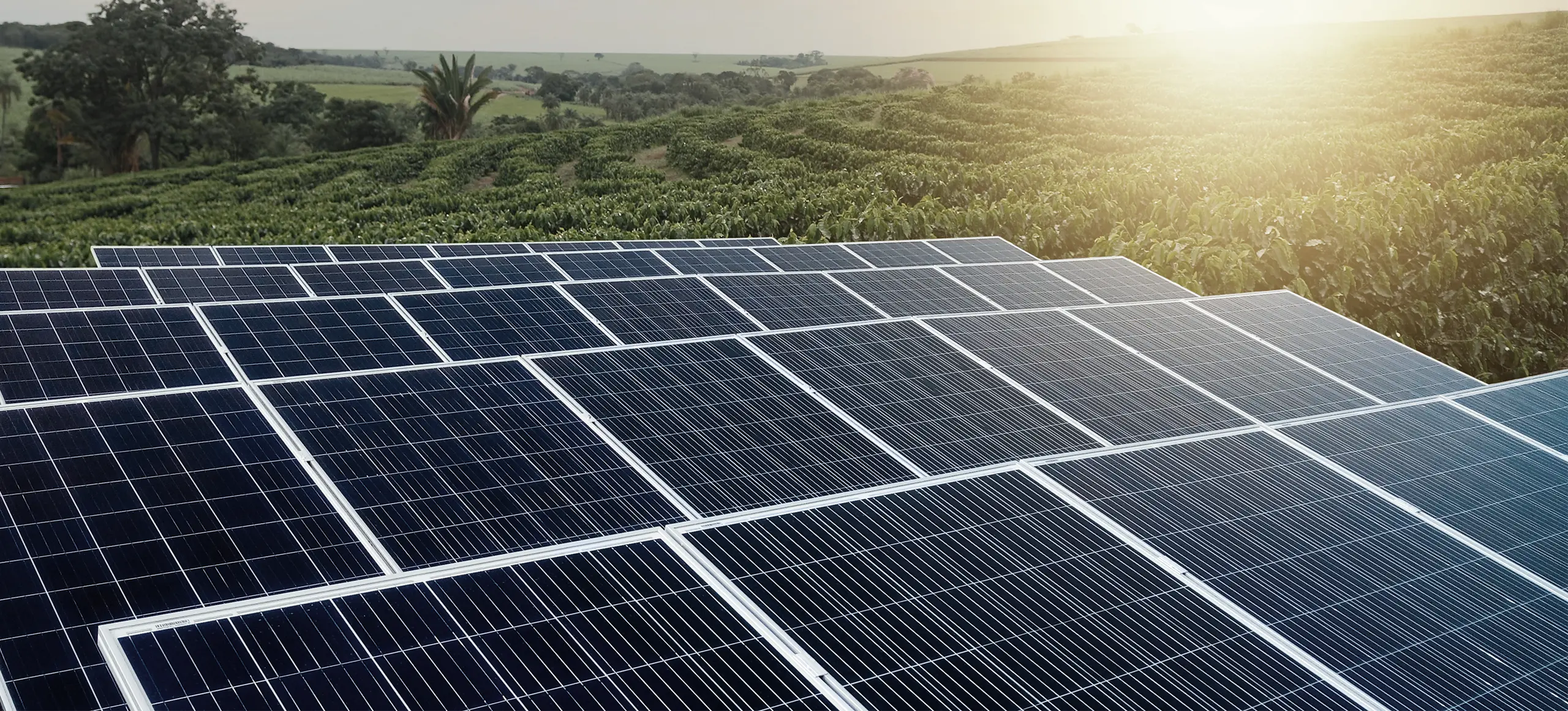 Solar Ground Mounts