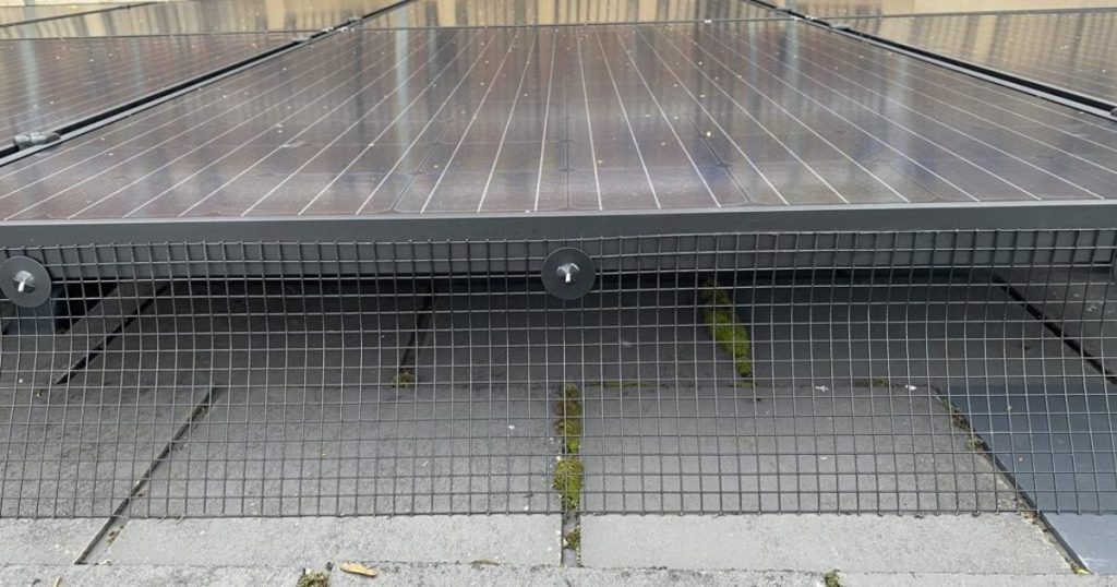 Steel bird mesh installed by Ineco Energy