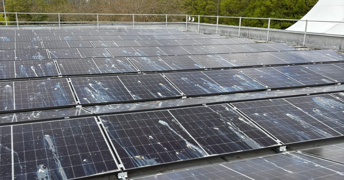 Bird soiling on solar panels example