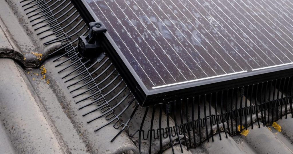 Example of PVC bird mesh on solar panel by Ineco Energy